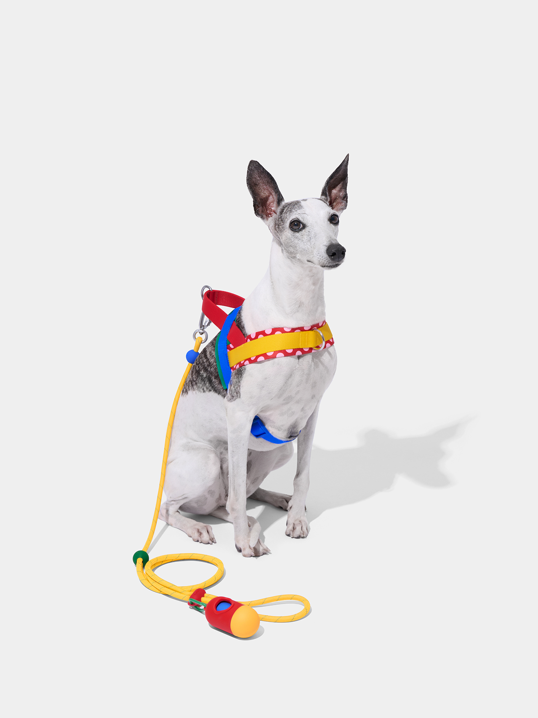 Connect Classic Rope Leash for Pets (Chroma) - Premium