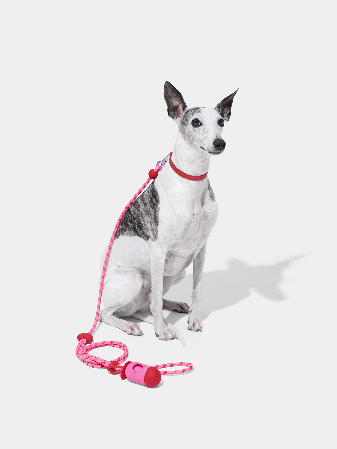 Connect Classic Rope Leash for Pets (Crush & Blush) - Premium