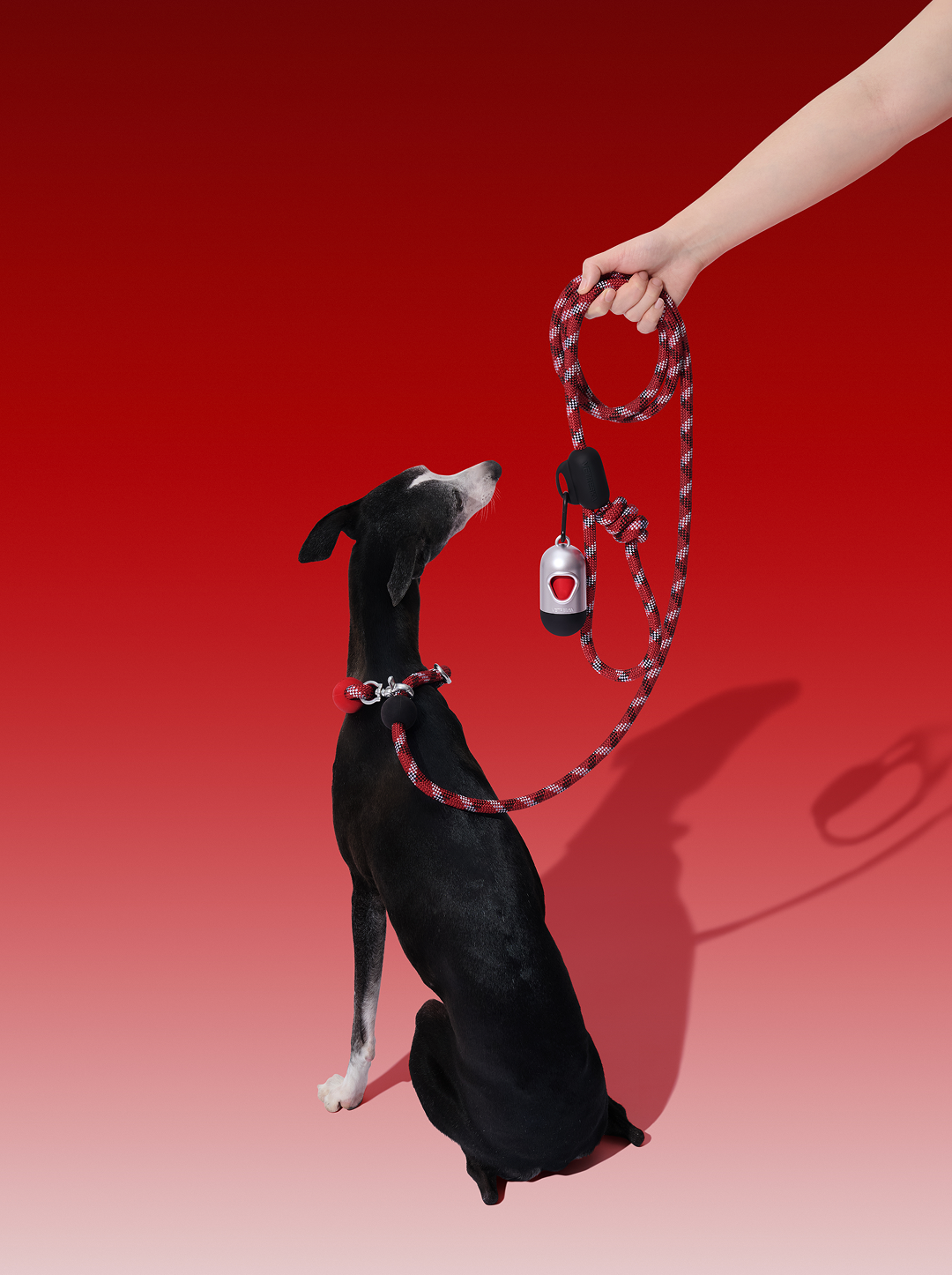 Connect Multifunctional Hands-Free Rope Leash for Pets - Circuit