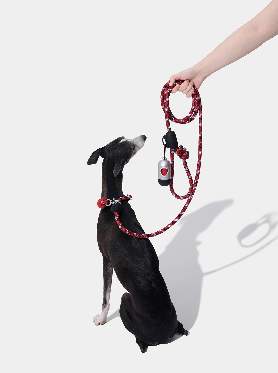 Connect Multifunctional Hands-Free Rope Leash for Pets - Circuit