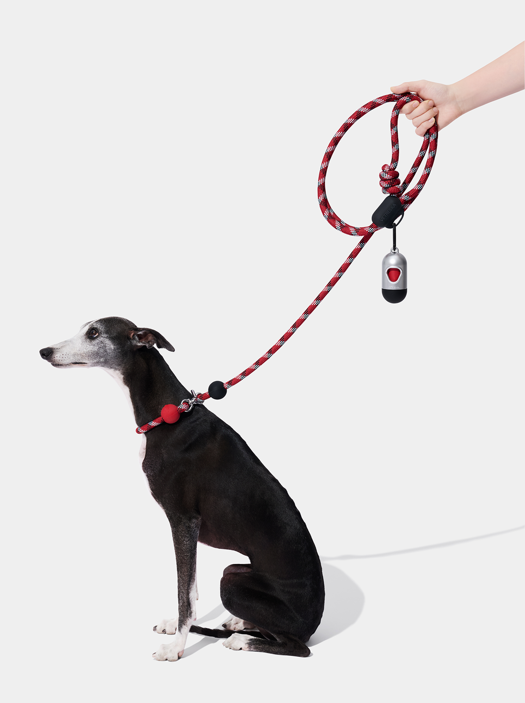 Connect Multifunctional Hands-Free Rope Leash for Pets - Circuit