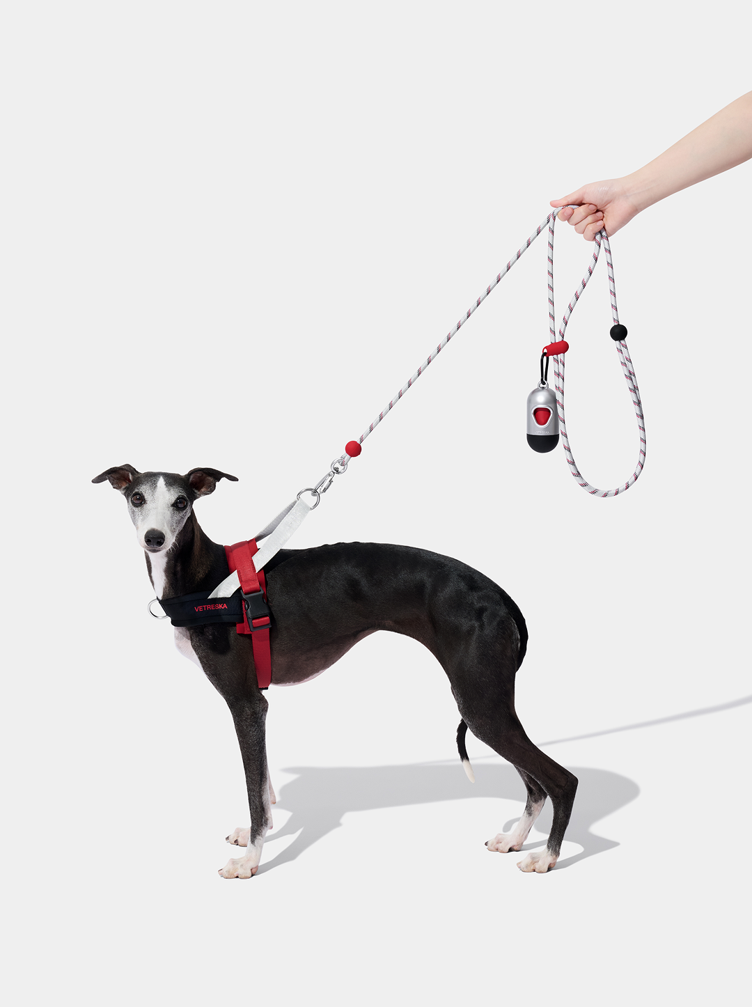 Connect Classic Rope Leash for Pets - Circuit Premium