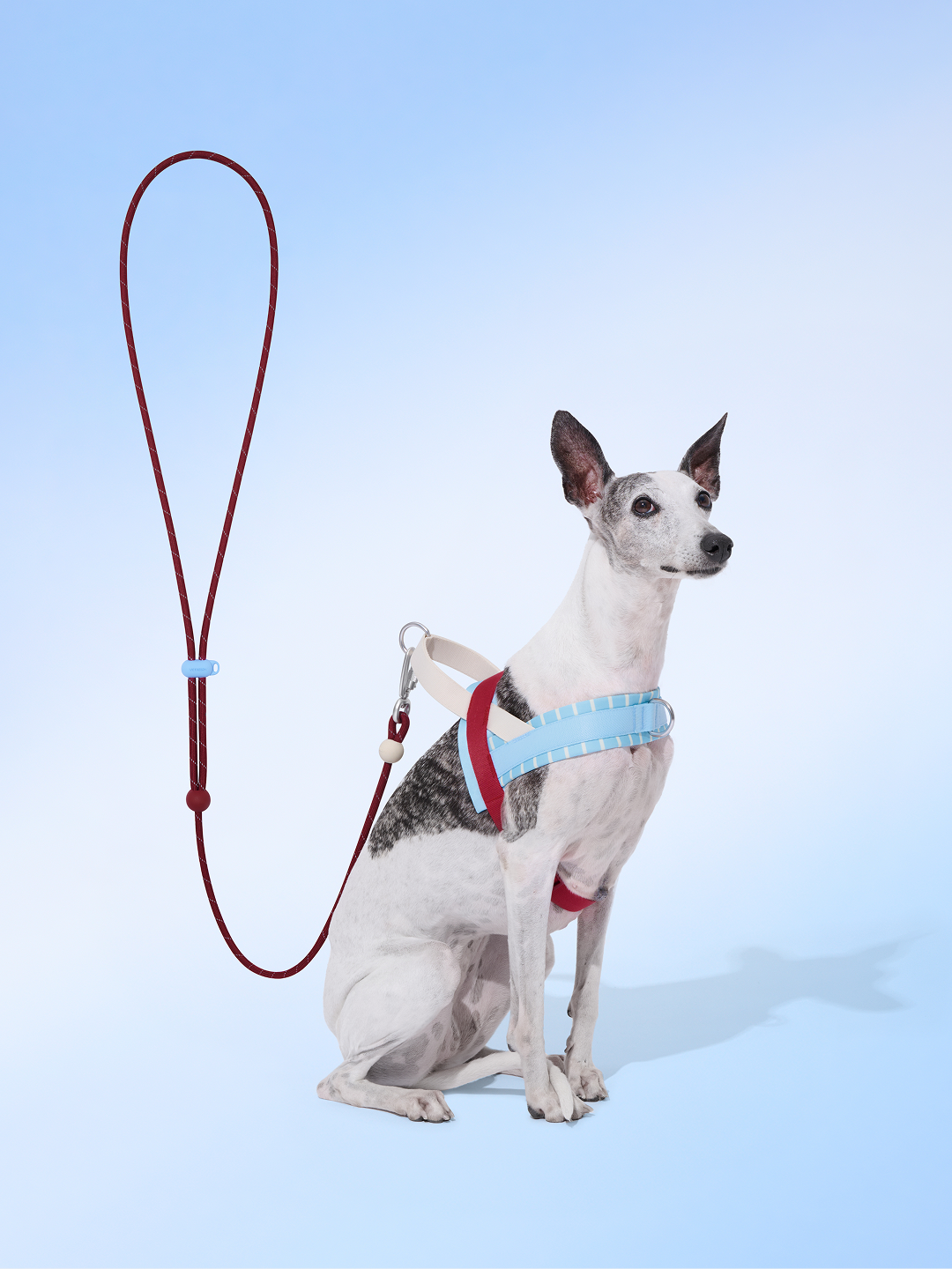 Connect Classic Rope Leash for Pets (Mist & Merlot) - Premium