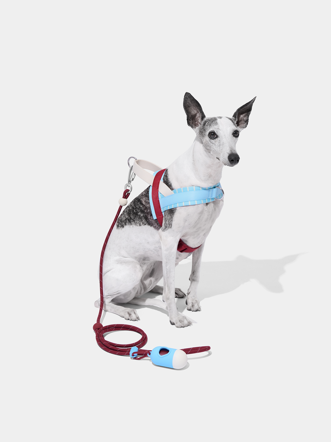 Connect Classic Rope Leash for Pets (Mist & Merlot) - Premium