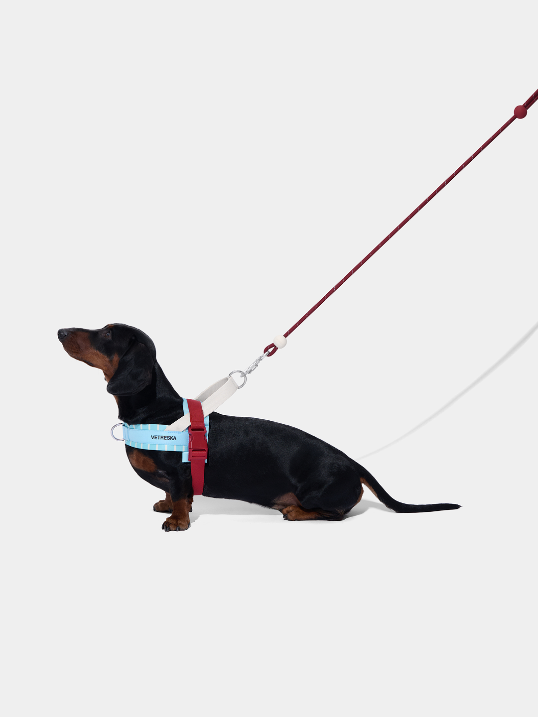 Connect Classic Rope Leash for Pets (Mist & Merlot) - Premium