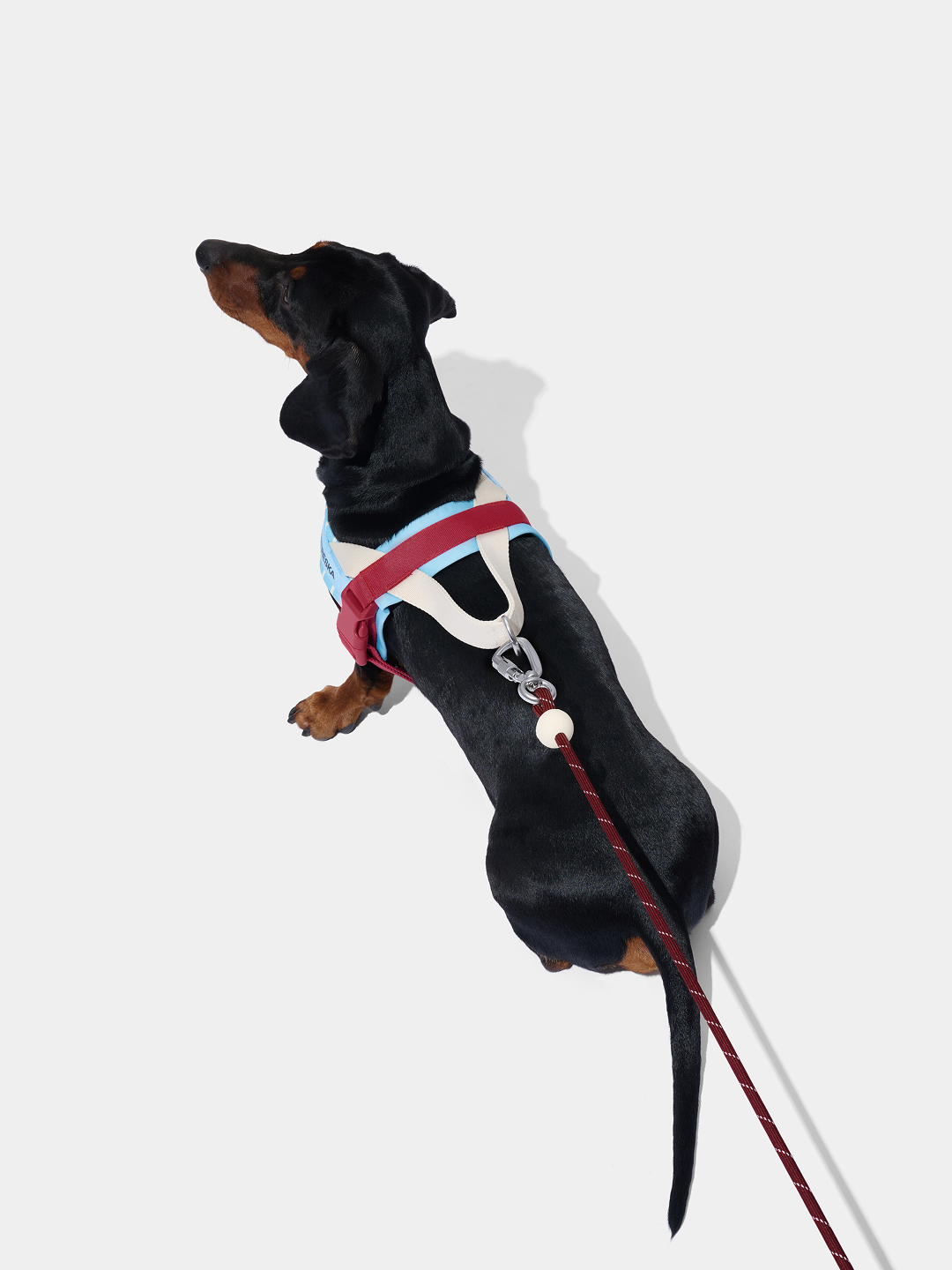 Connect Classic Rope Leash for Pets (Mist & Merlot) - Premium
