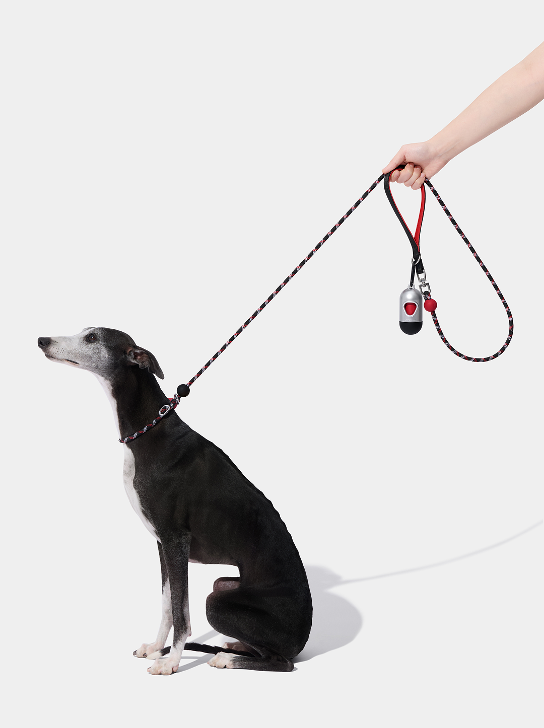 Connect Lite Rope Leash for Pets - Circuit