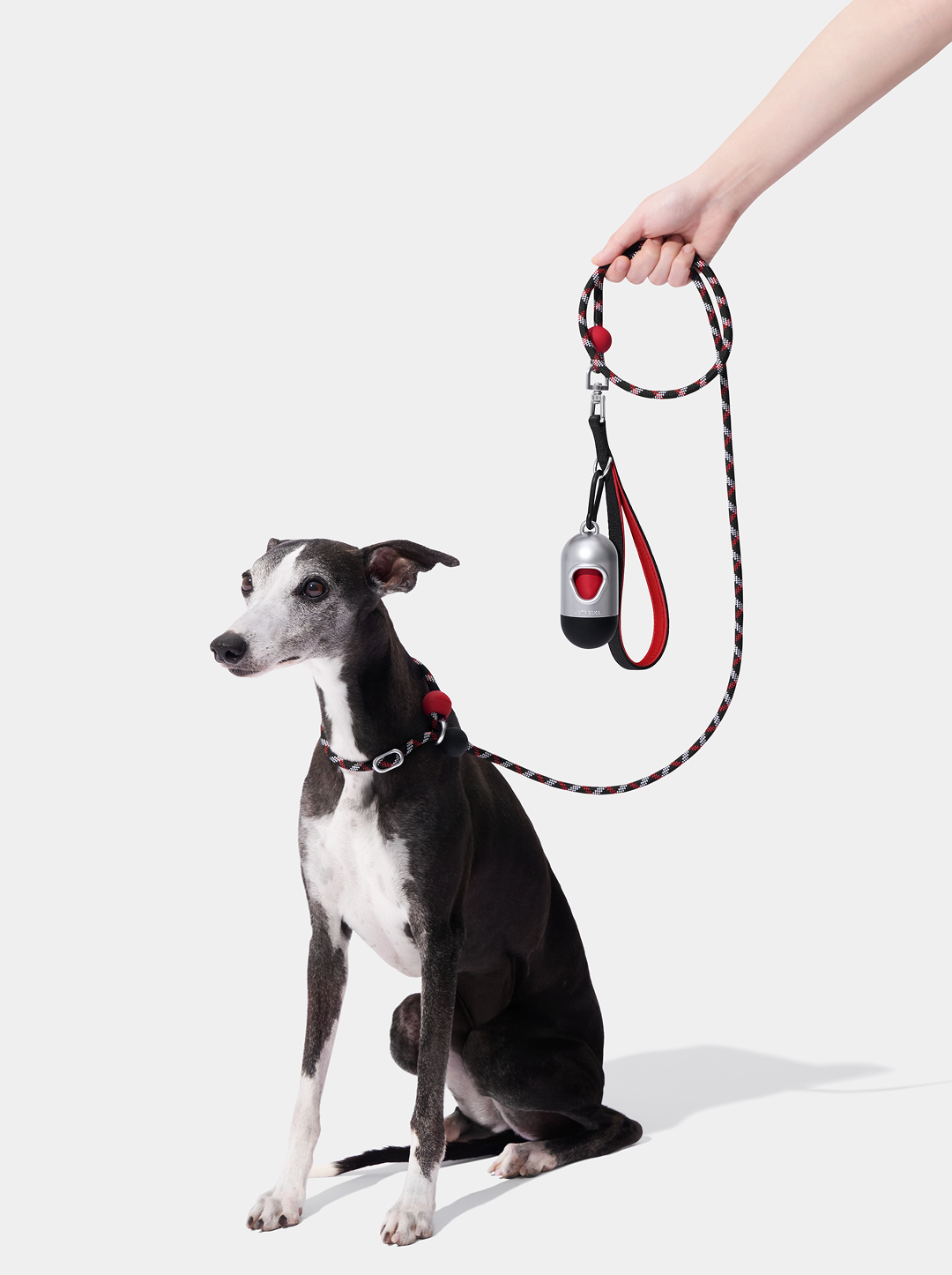 Connect Lite Rope Leash for Pets - Circuit