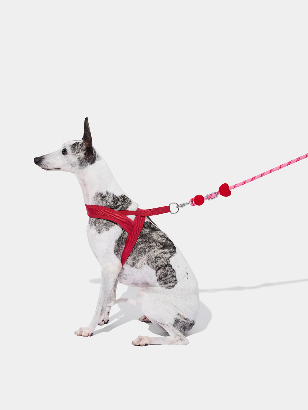 Connect Multifunctional Hands-Free Rope Leash for Pets - Crush & Blush