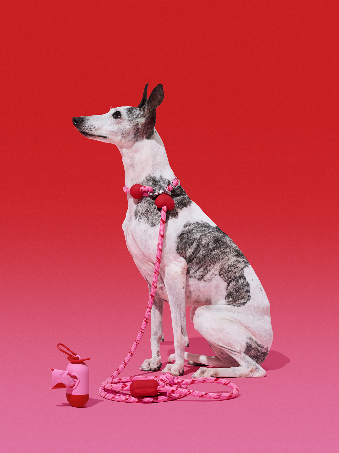 Connect Multifunctional Hands-Free Rope Leash for Pets - Crush & Blush