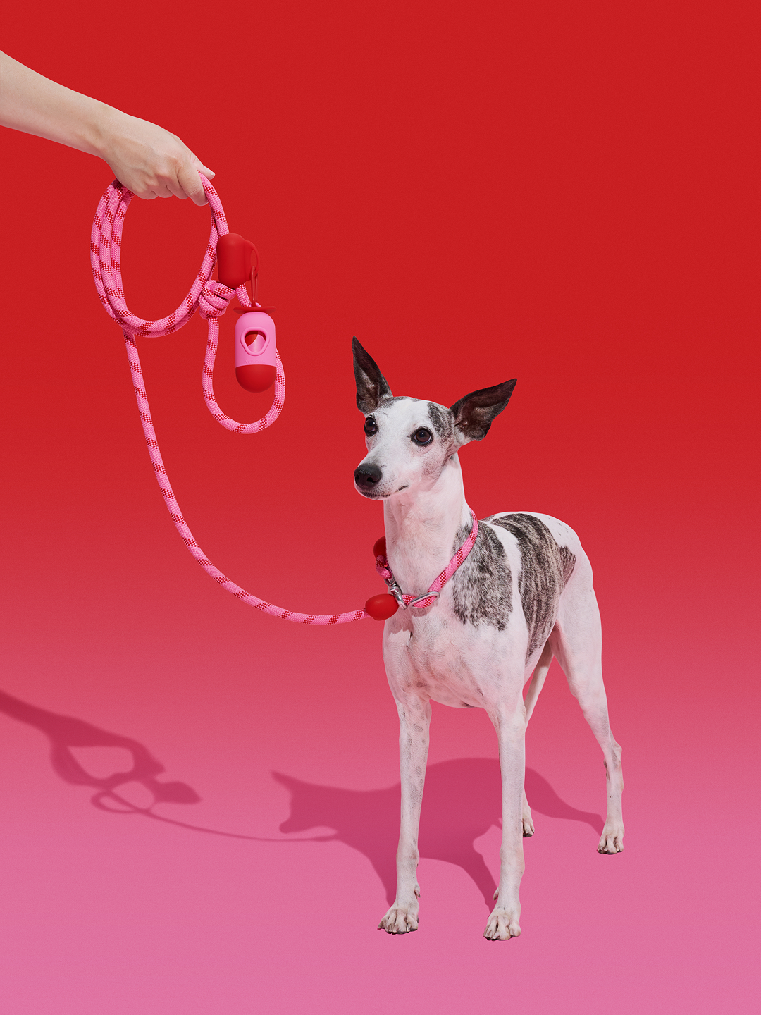 Connect Multifunctional Hands-Free Rope Leash for Pets - Crush & Blush