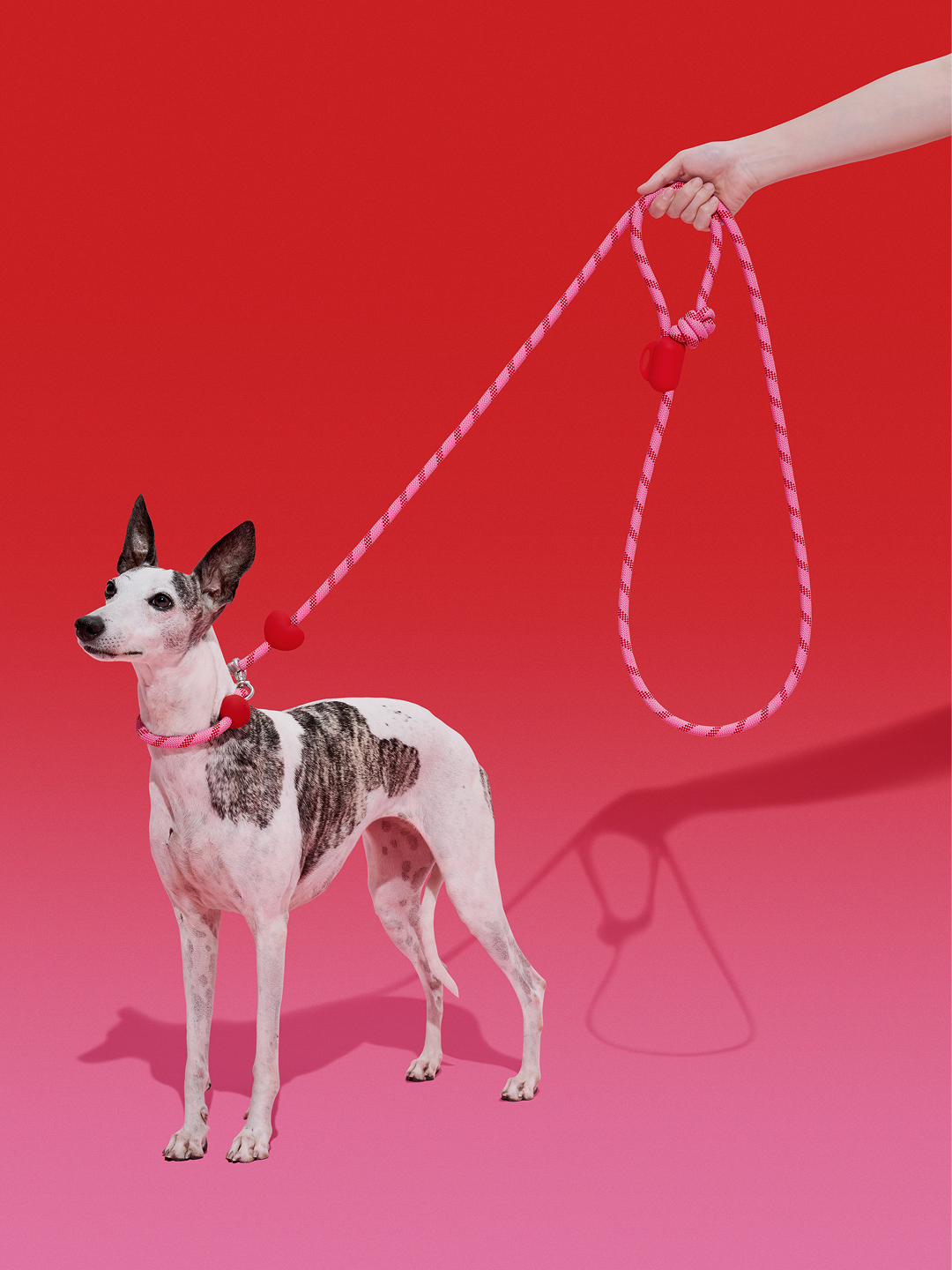 Connect Multifunctional Hands-Free Rope Leash for Pets - Crush & Blush
