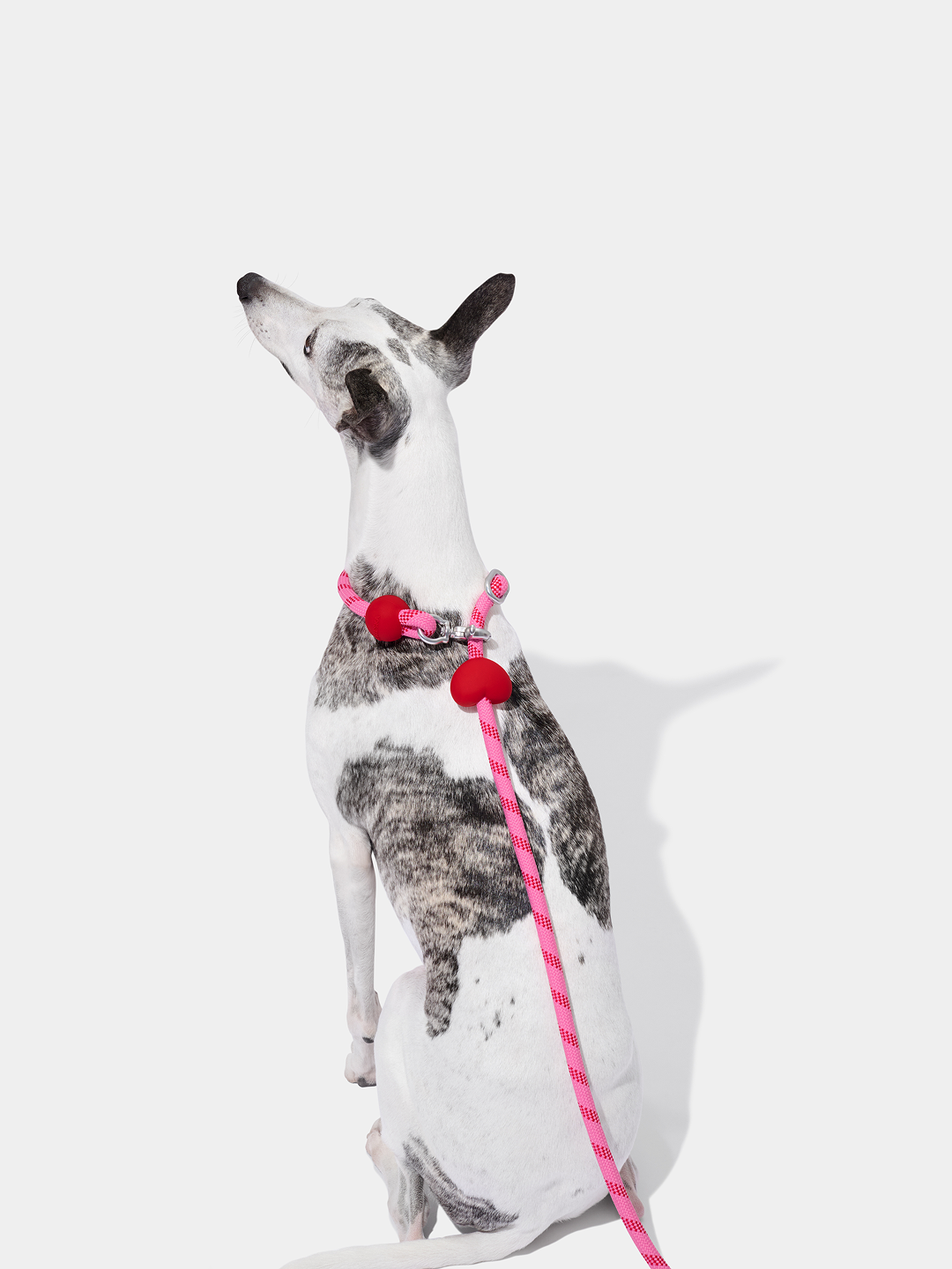 Connect Multifunctional Hands-Free Rope Leash for Pets - Crush & Blush