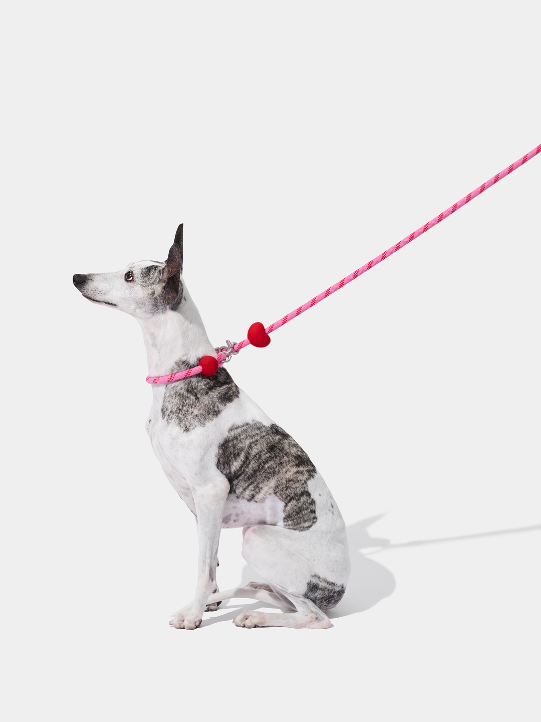 Connect Multifunctional Hands-Free Rope Leash for Pets - Crush & Blush