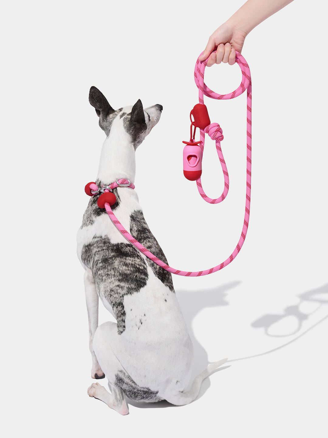 Connect Multifunctional Hands-Free Rope Leash for Pets - Crush & Blush