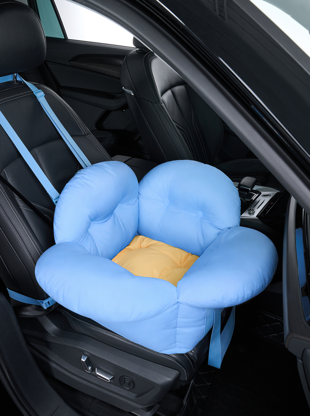 Daisy Car Seat Pet Carrier (NEW)