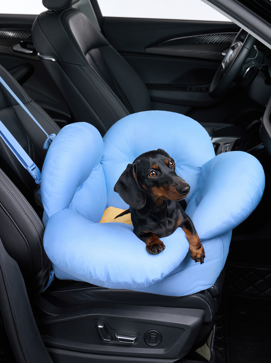 Daisy Car Seat Pet Carrier (NEW)