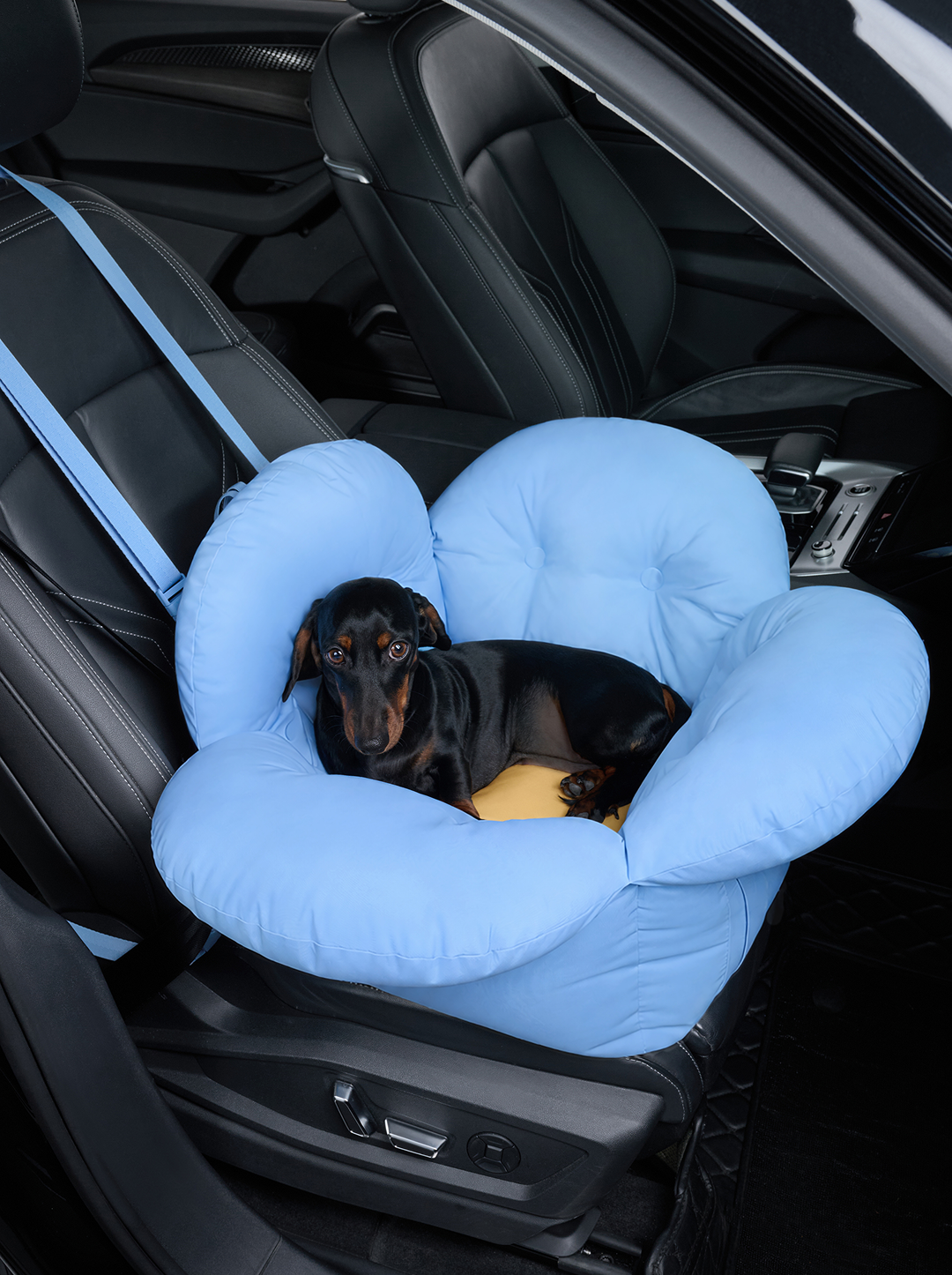 Daisy Car Seat Pet Carrier (NEW)