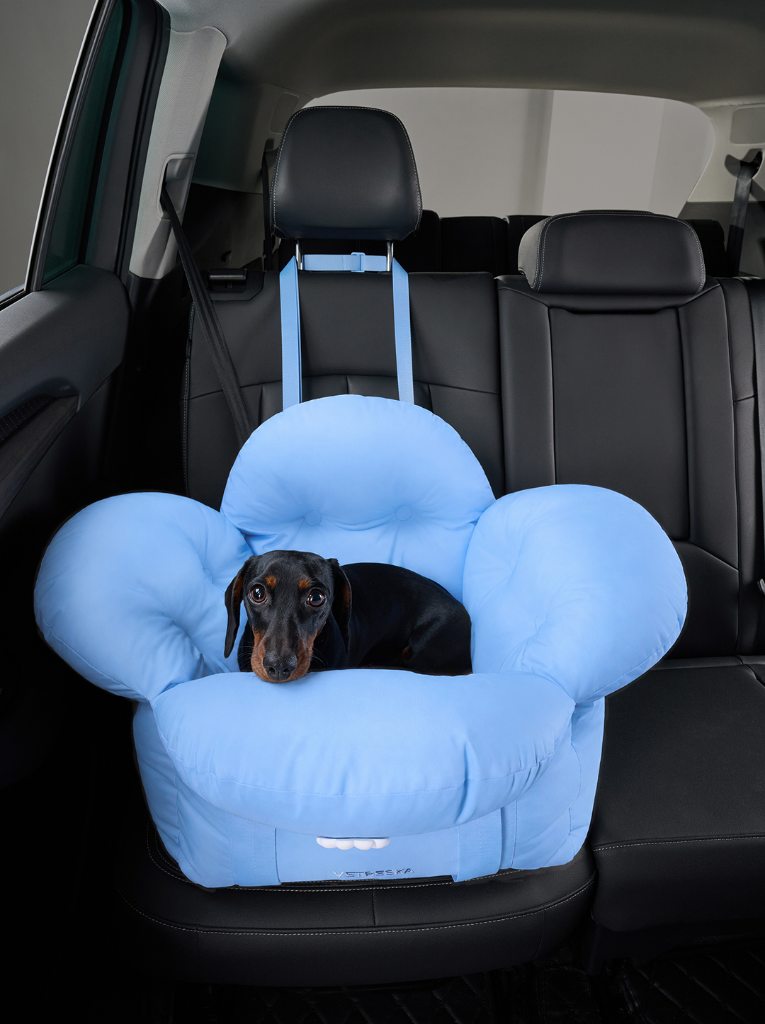 Daisy Car Seat Pet Carrier (NEW)