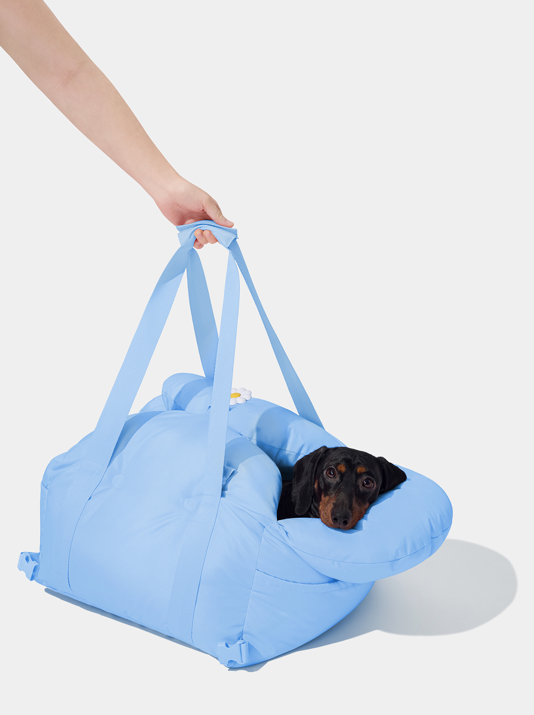 Daisy Car Seat Pet Carrier (NEW)