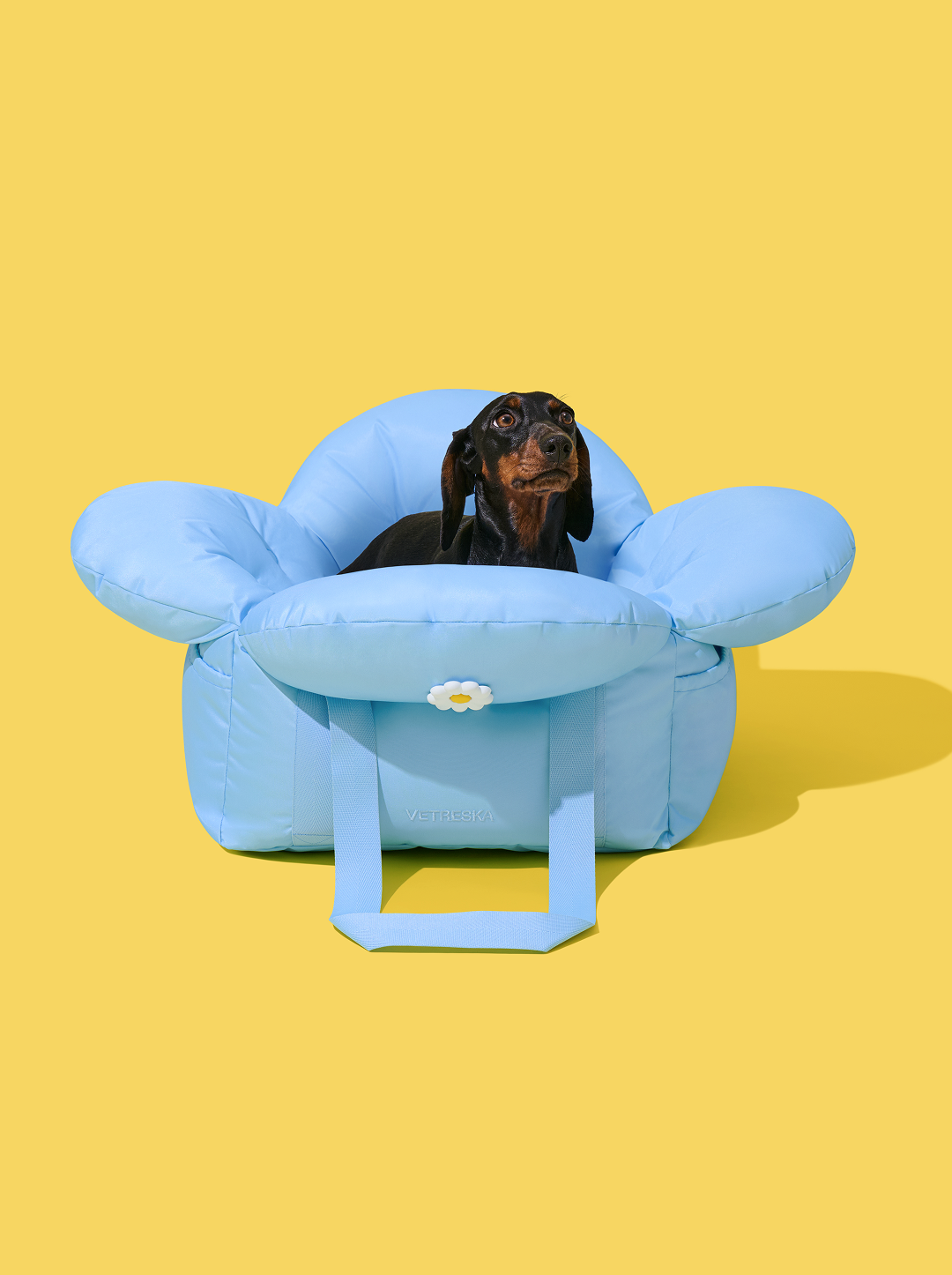 Daisy Car Seat Pet Carrier (NEW)