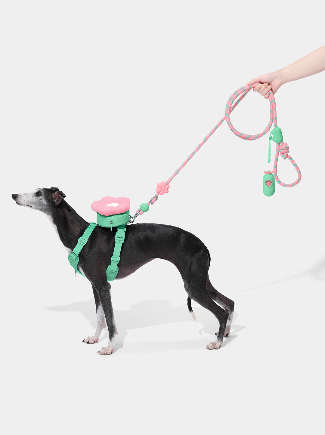 Flora Pet Backpack & Harness Set