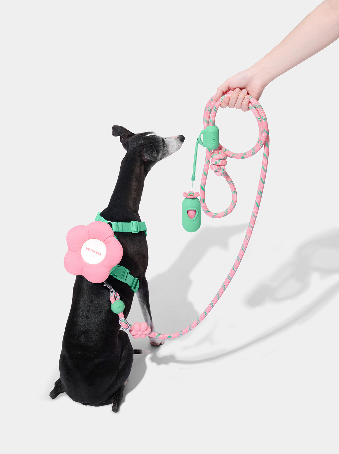 Flora Pet Backpack & Harness Set