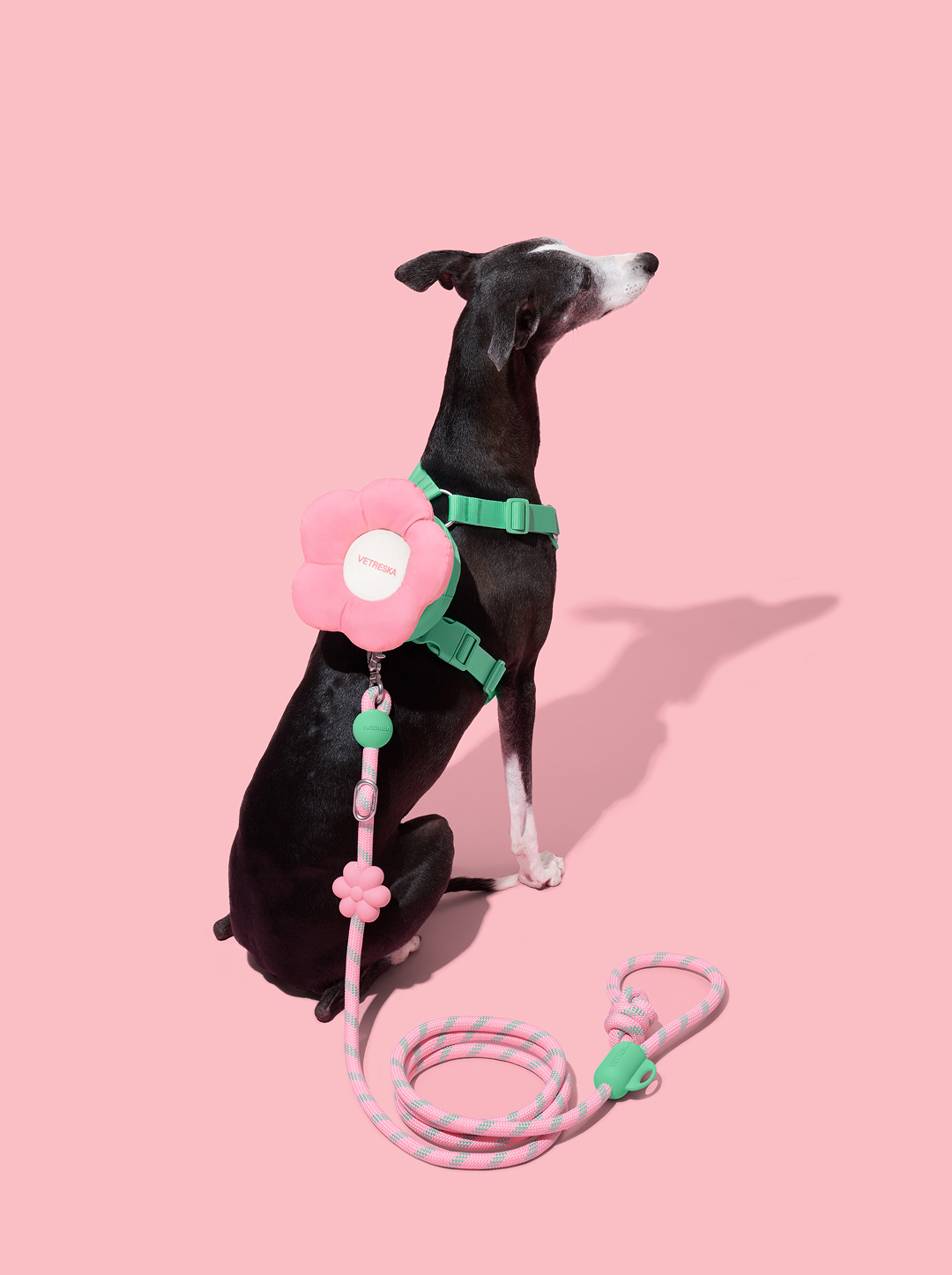 Flora Pet Backpack & Harness Set
