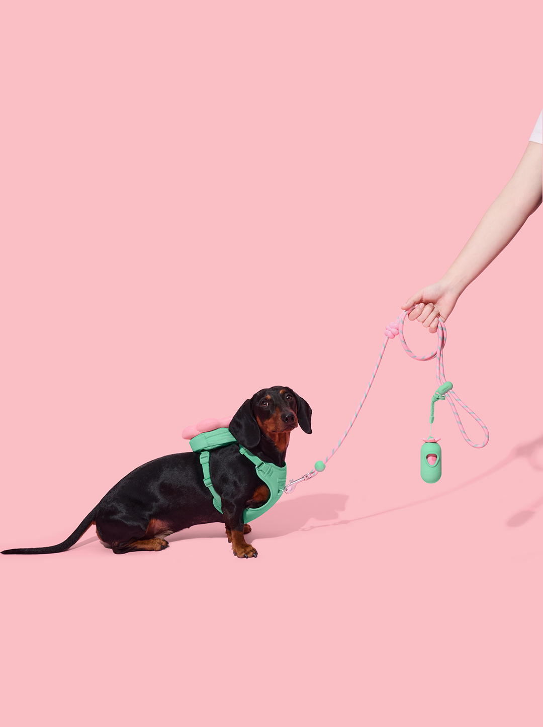 Flora Pet Backpack & Harness Set