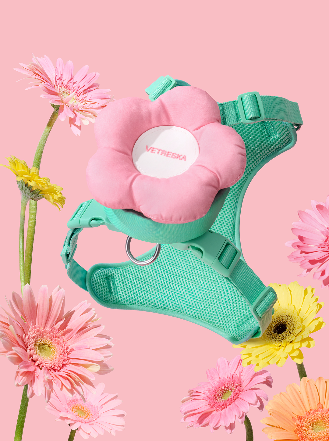 Flora Pet Backpack & Harness Set