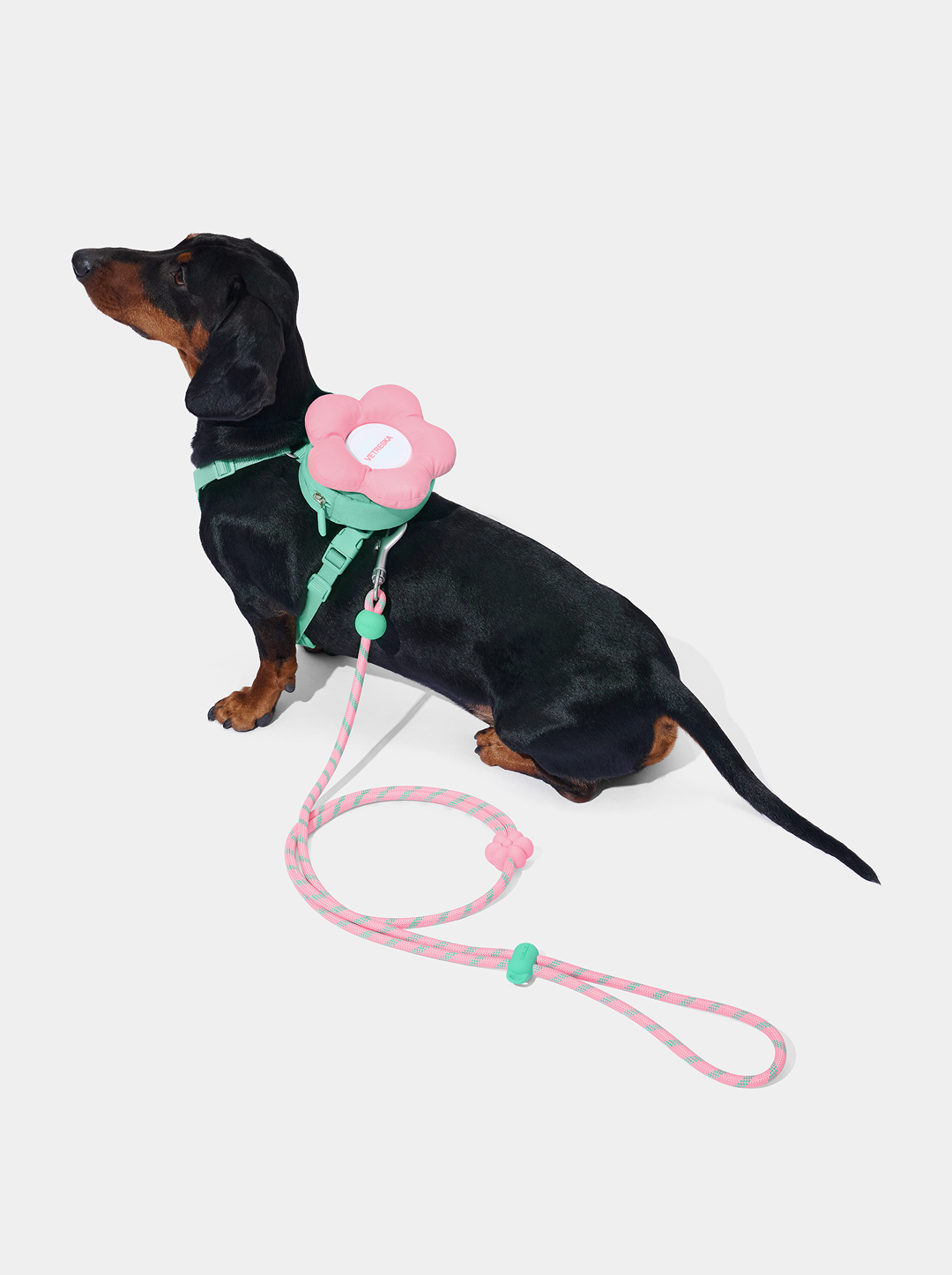 Flora Pet Backpack & Harness Set