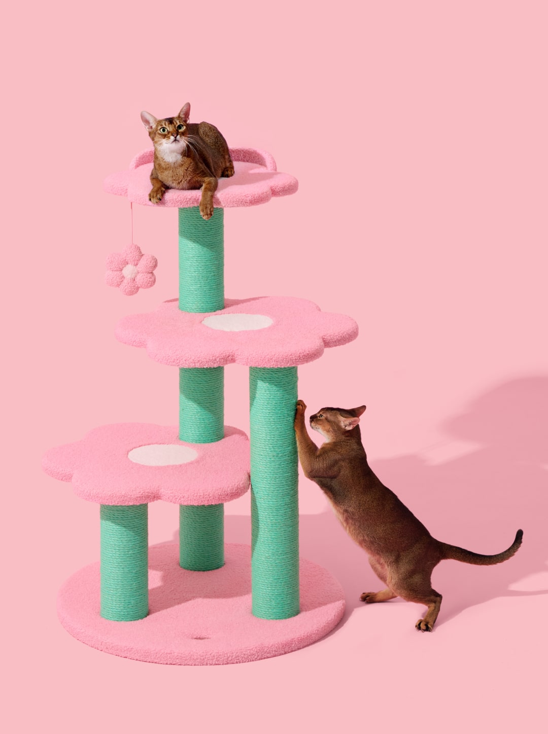 Flora Cat Climber (Four Platforms)