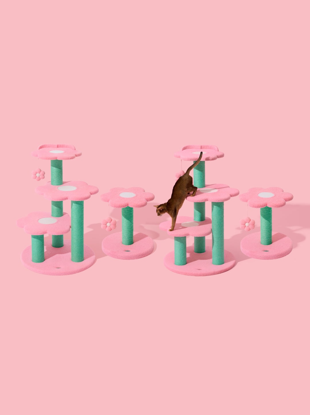 Flora Cat Climber (Four Platforms)