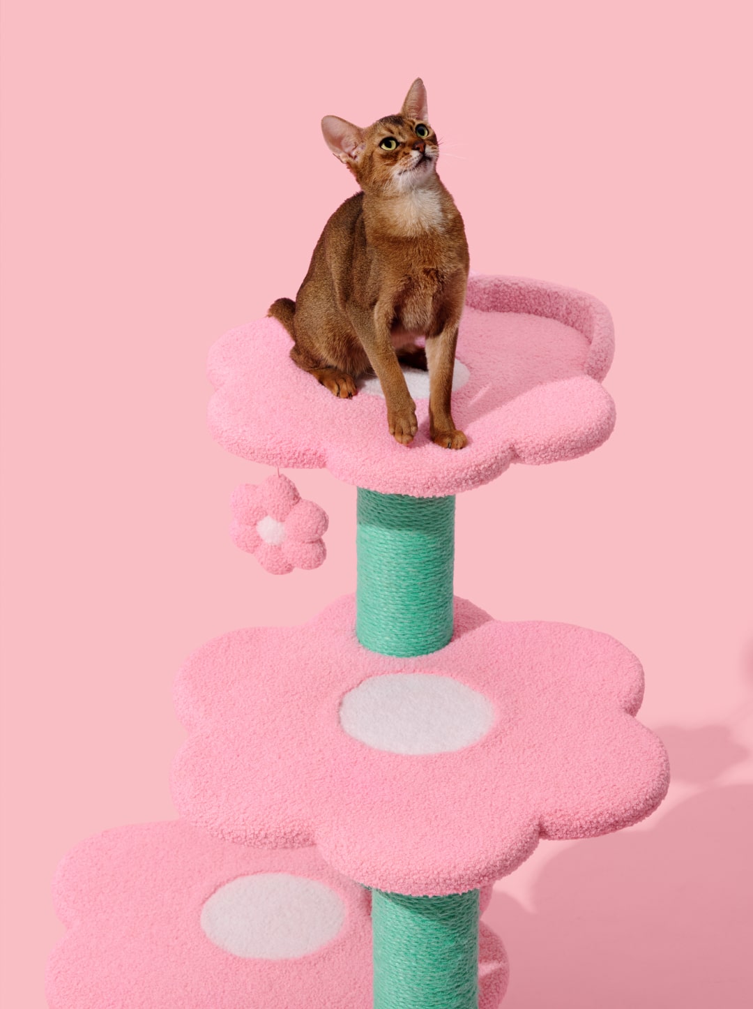 Flora Cat Climber (Four Platforms)