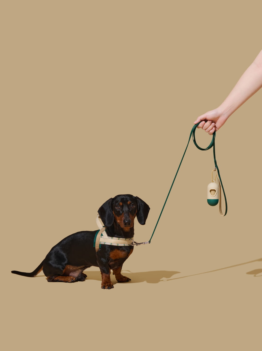 Santal Forest Quick Fit Pet Harness & Leash Set