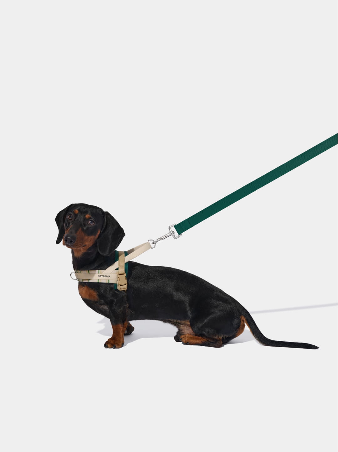 Santal Forest Quick Fit Pet Harness & Leash Set