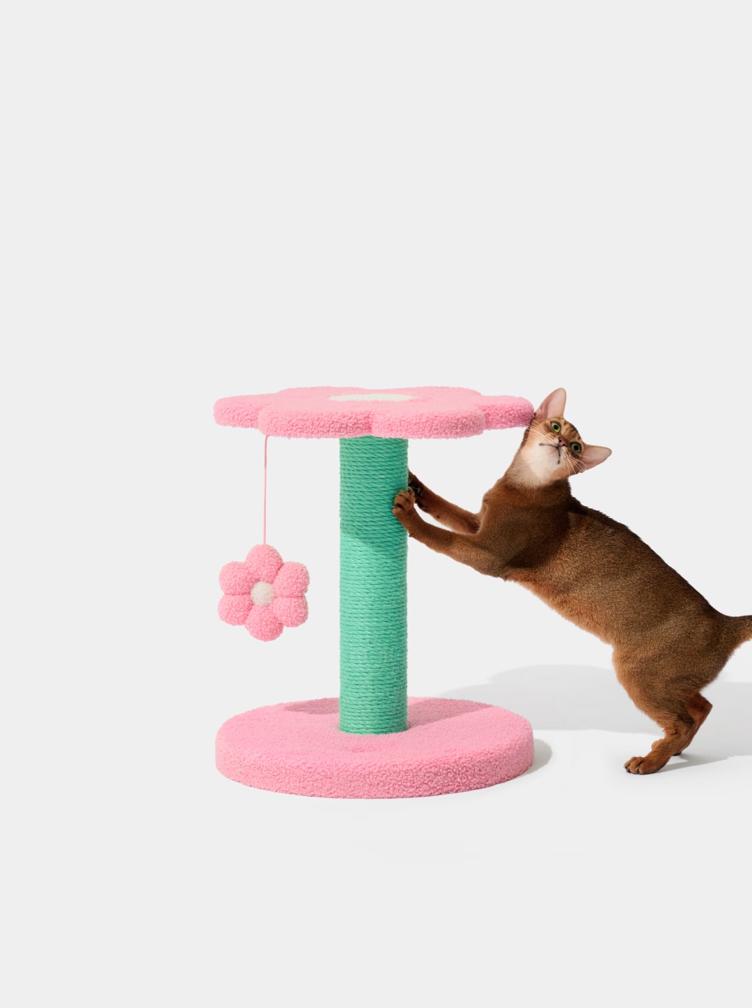 Flora Cat Climber (Two Platforms)