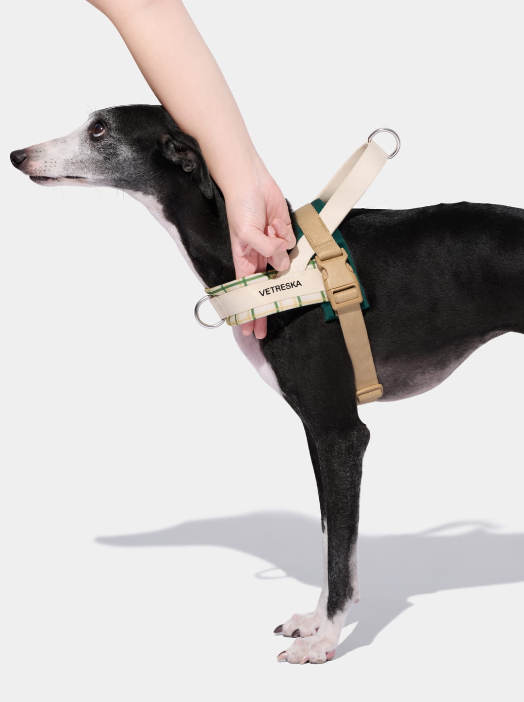 Santal Forest Quick Fit Pet Harness & Leash Set