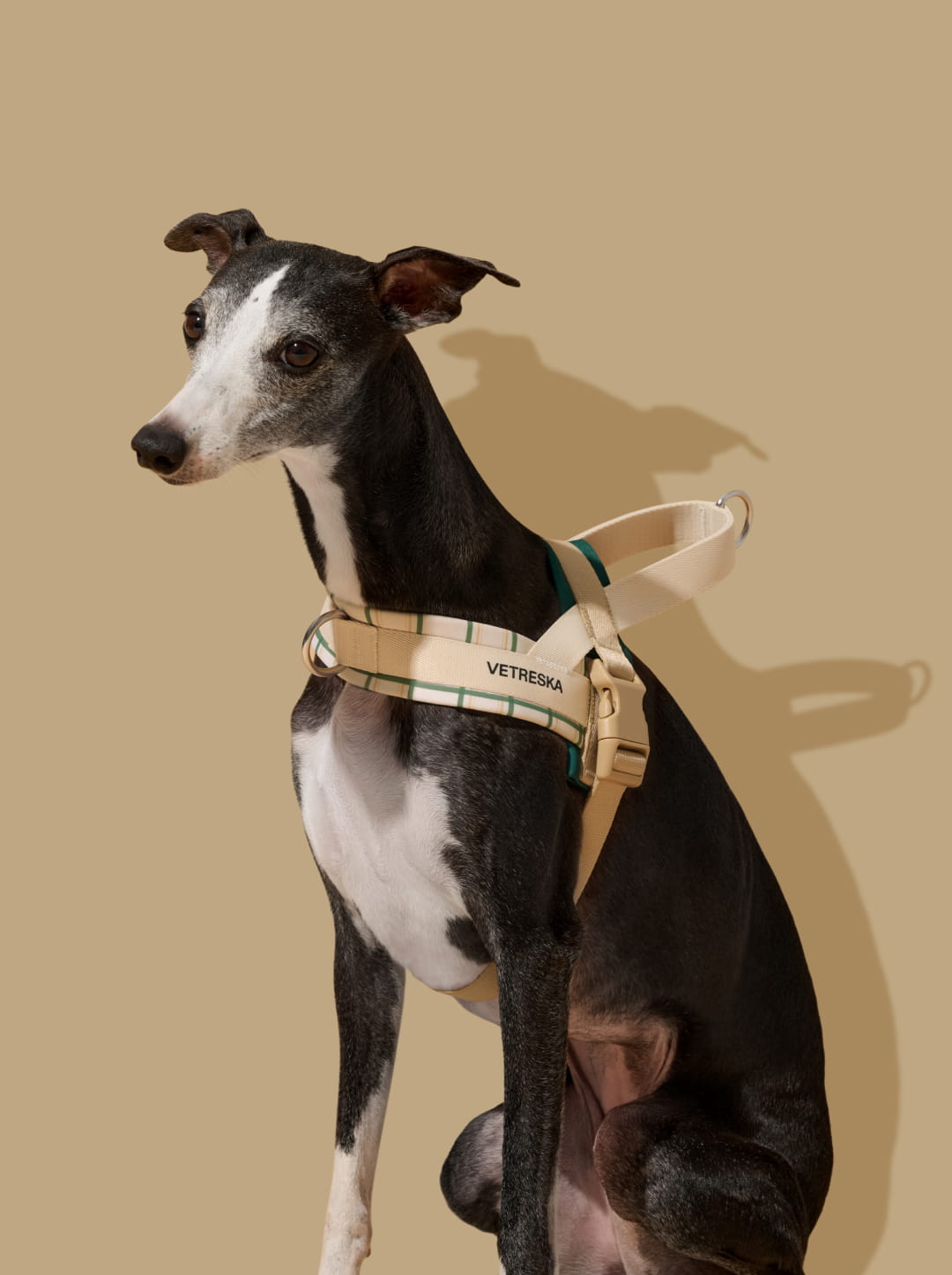 Santal Forest Quick Fit Pet Harness & Leash Set