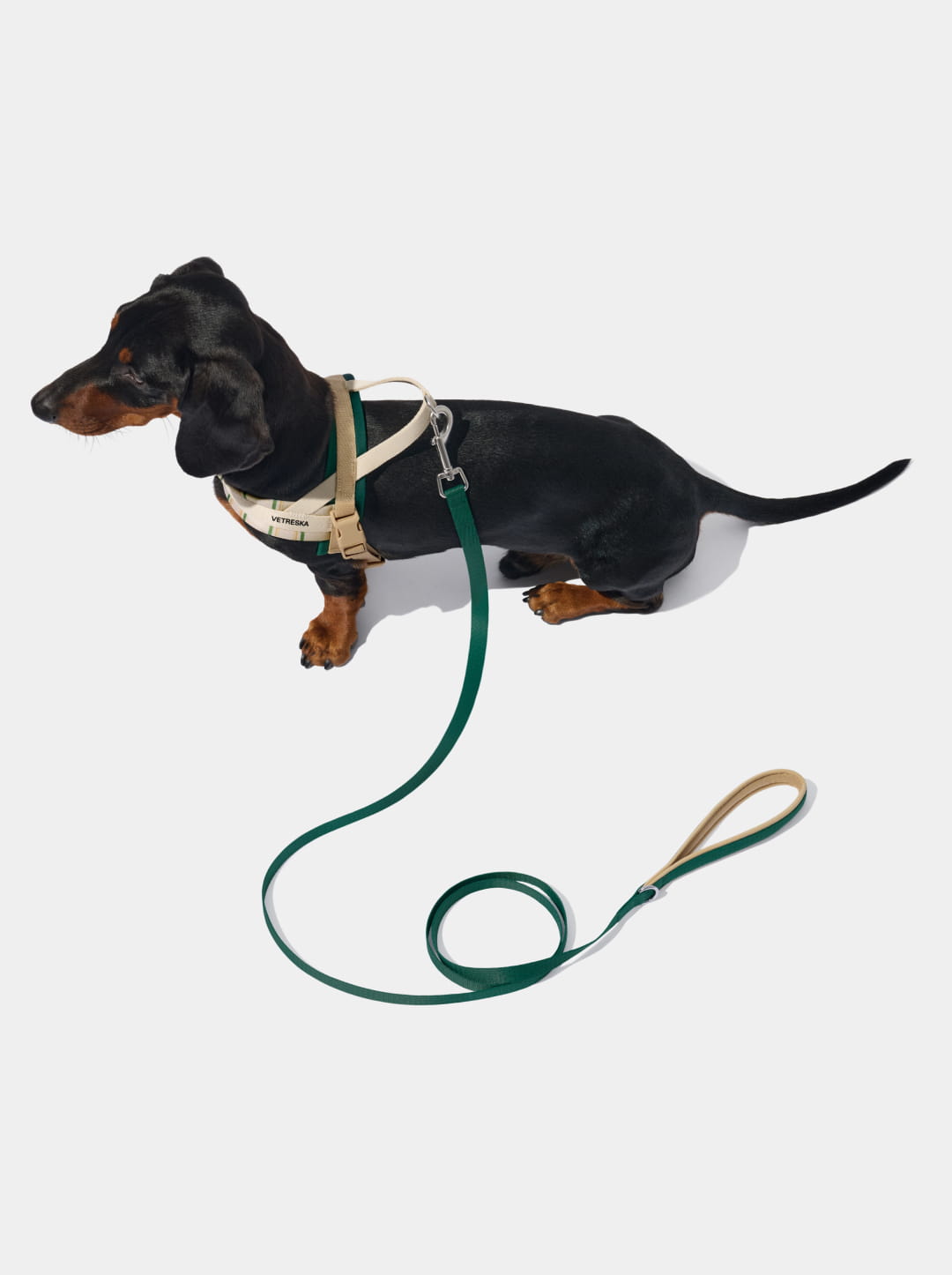 Santal Forest Quick Fit Pet Harness & Leash Set