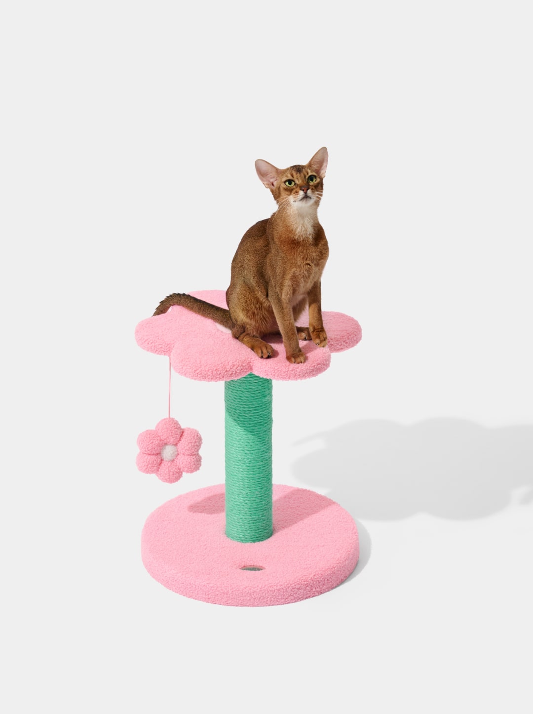 Flora Cat Climber (Two Platforms)