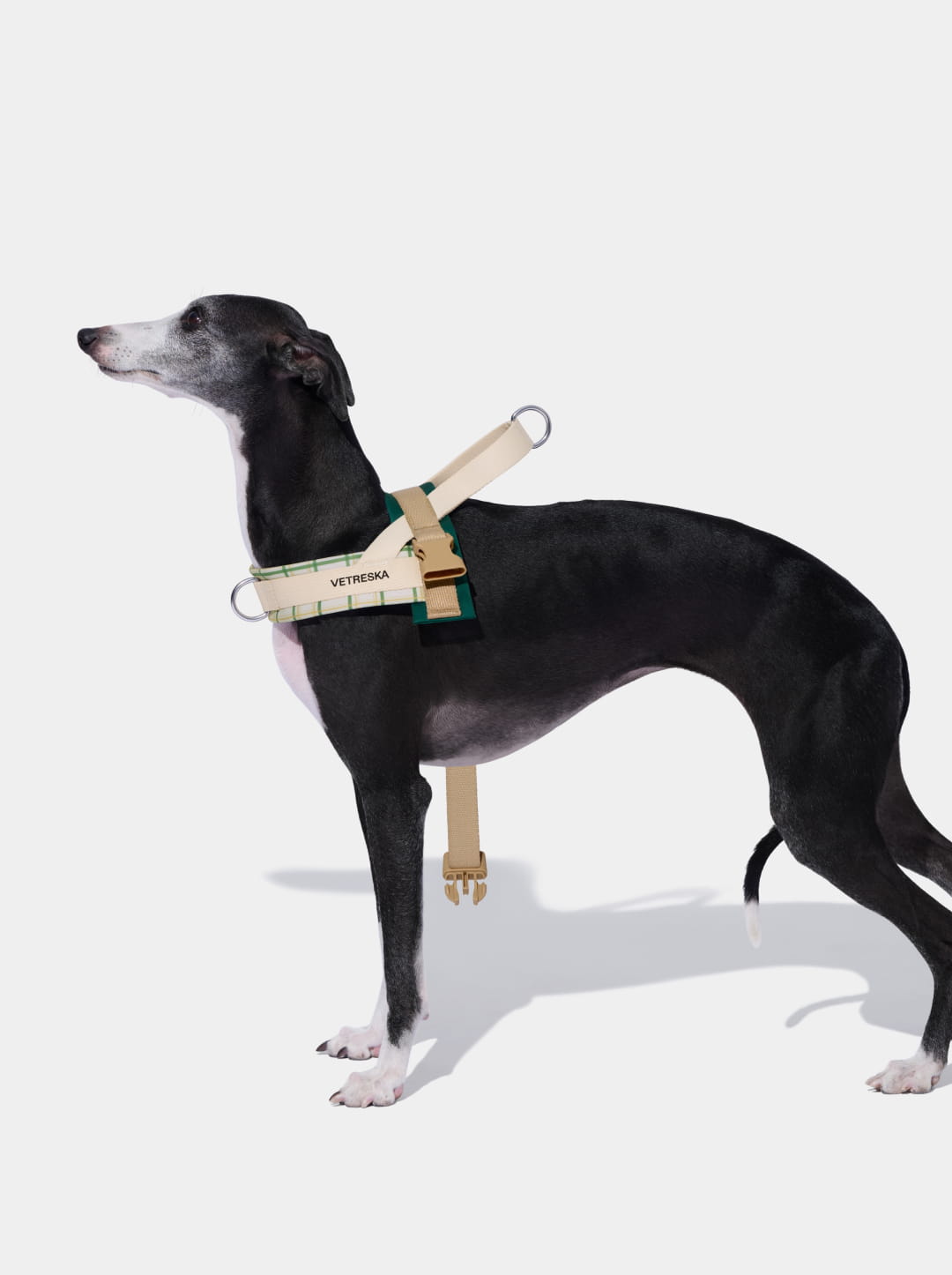 Santal Forest Quick Fit Pet Harness & Leash Set