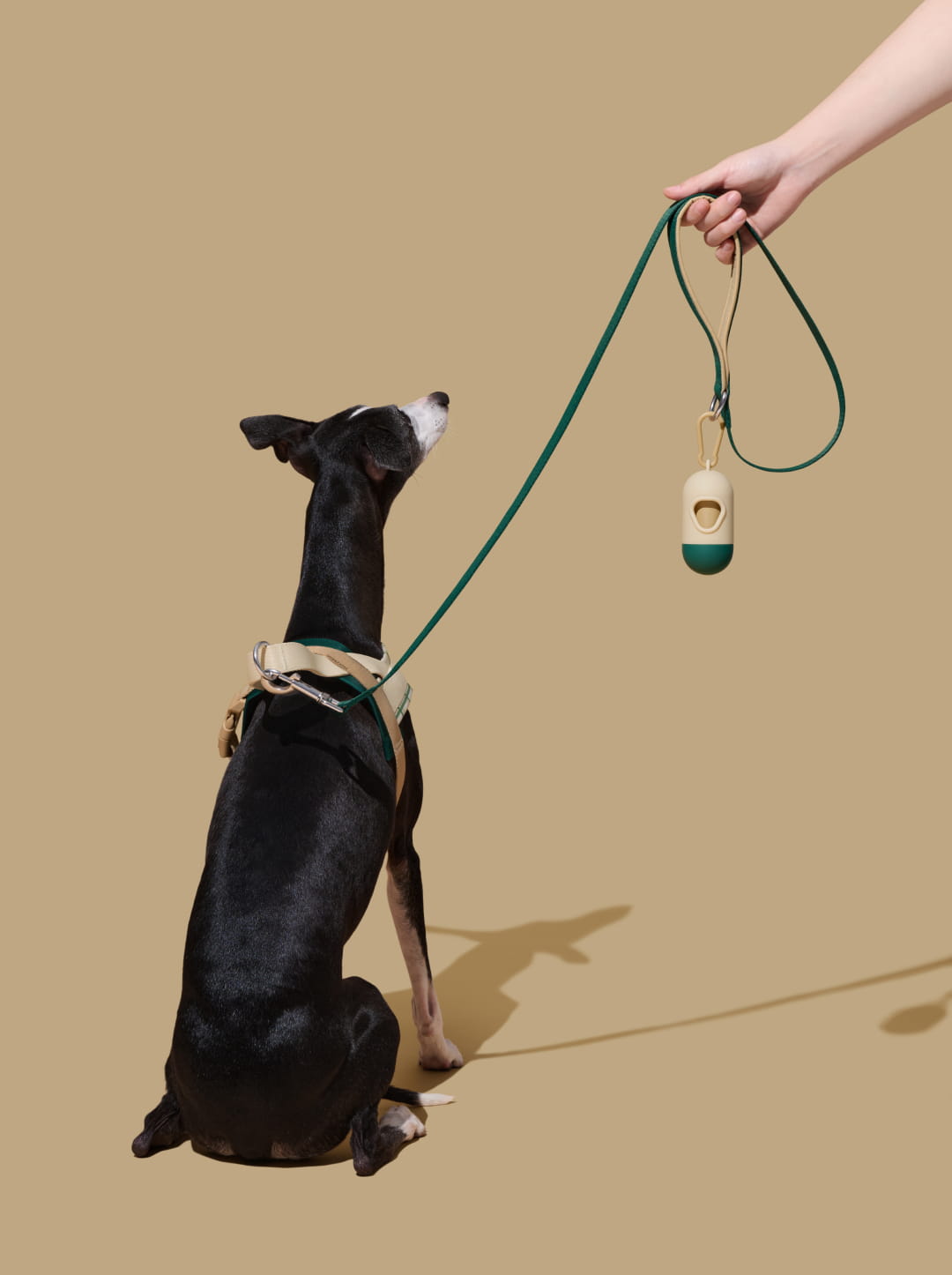 Santal Forest Quick Fit Pet Harness & Leash Set