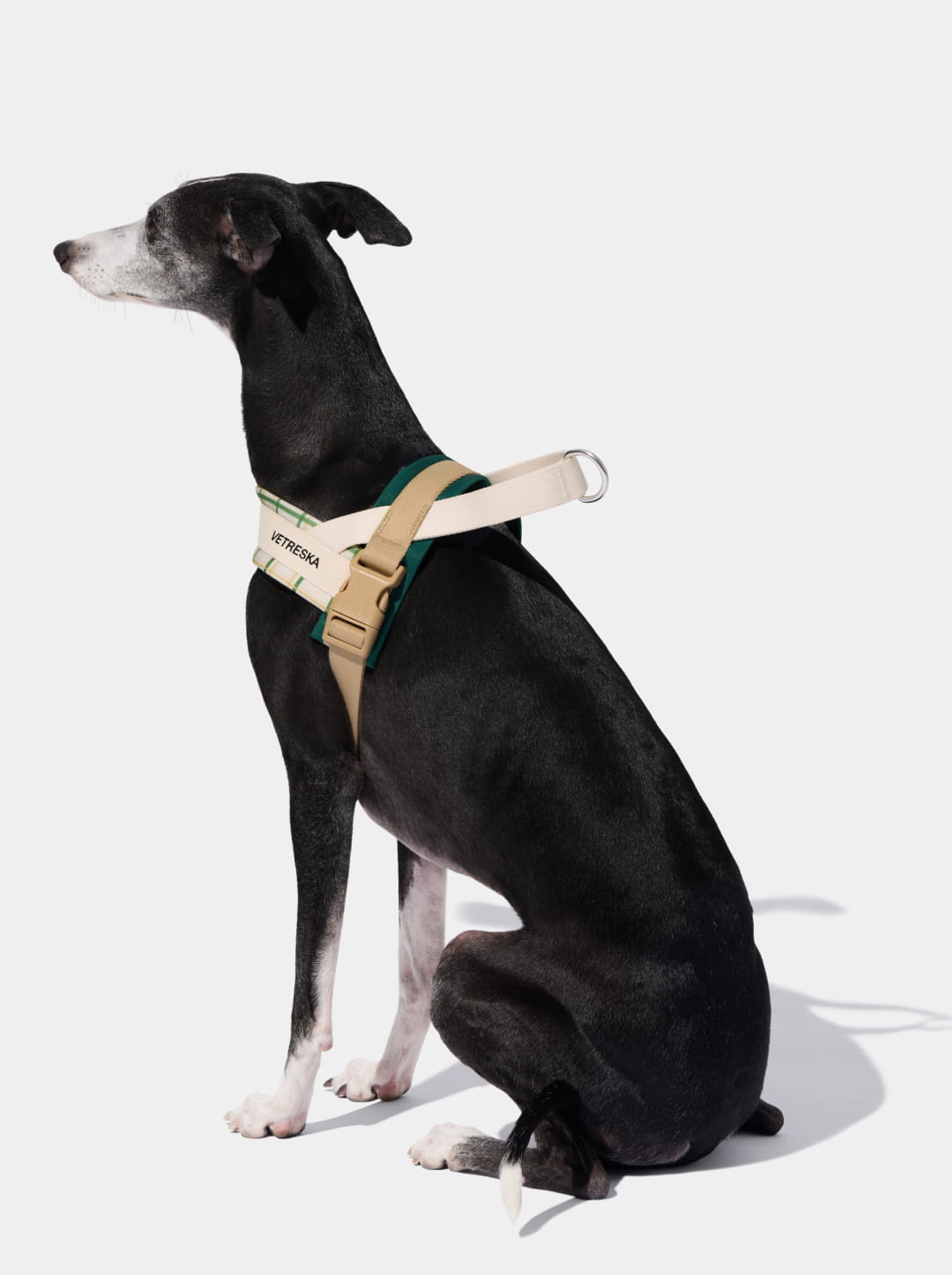 Santal Forest Quick Fit Pet Harness & Leash Set