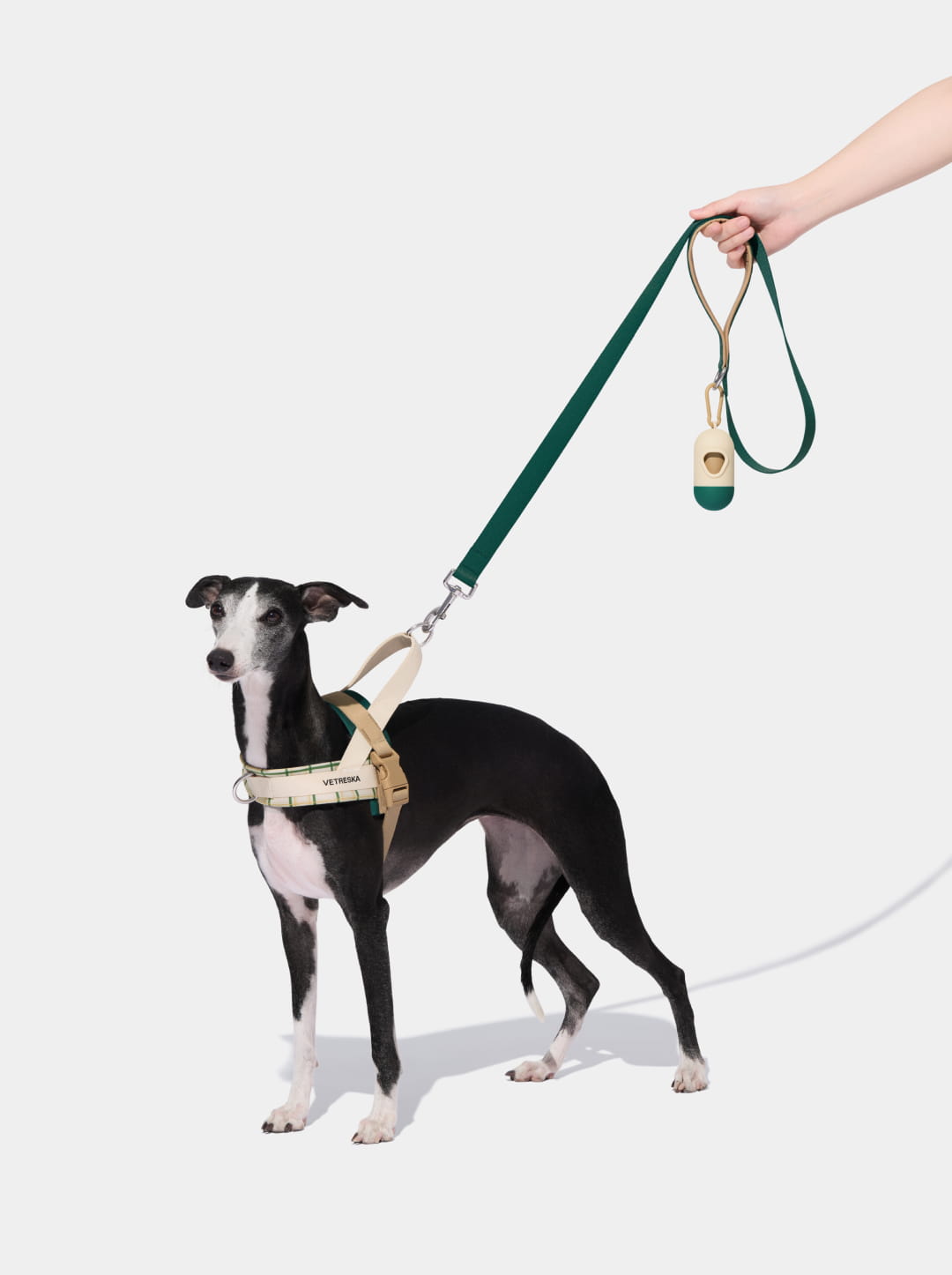 Santal Forest Quick Fit Pet Harness & Leash Set