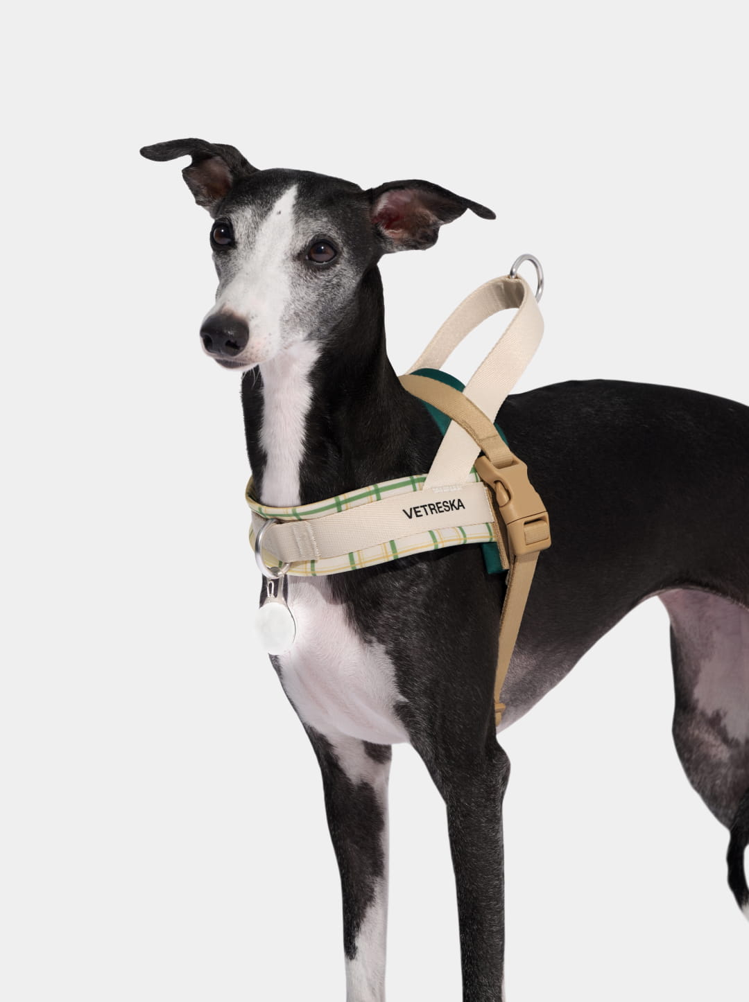 Santal Forest Quick Fit Pet Harness & Leash Set