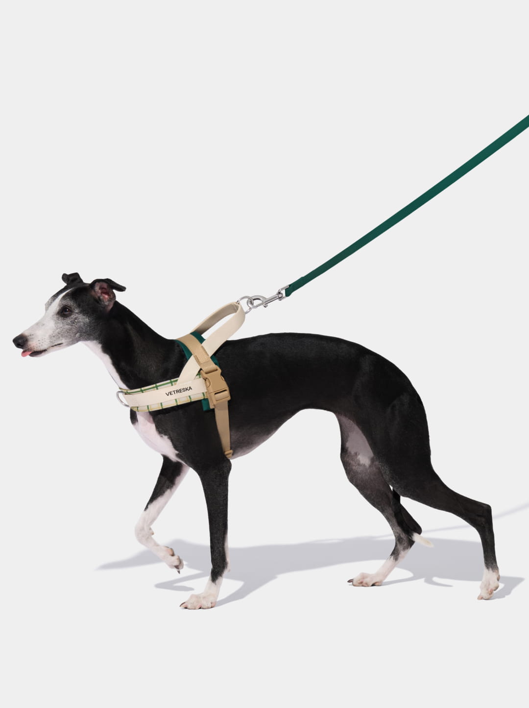 Santal Forest Quick Fit Pet Harness & Leash Set