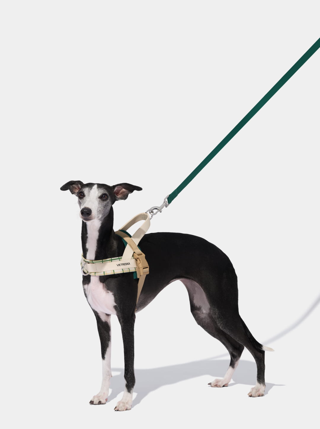 Santal Forest Quick Fit Pet Harness & Leash Set