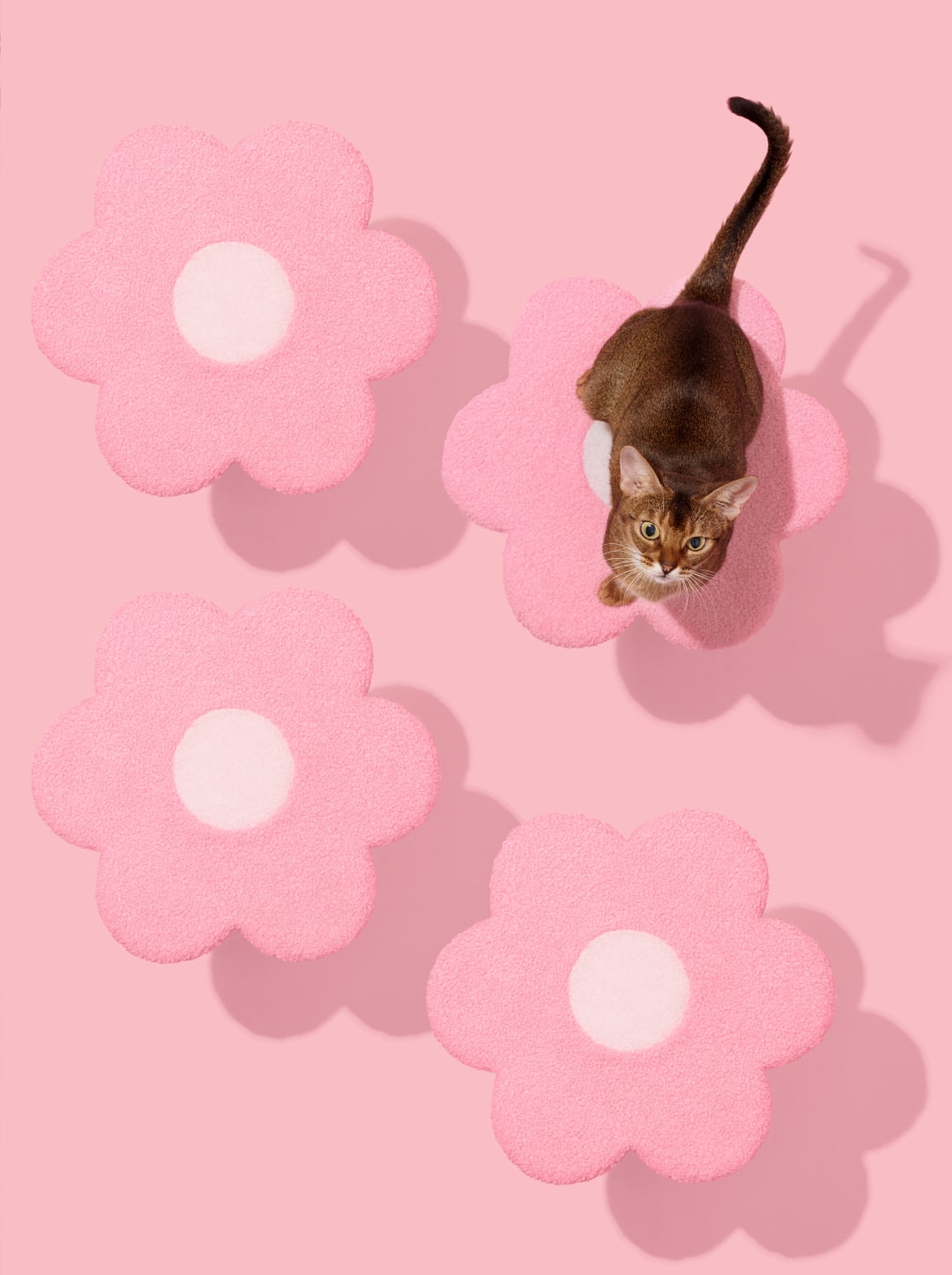 Flora Cat Climber (Two Platforms)