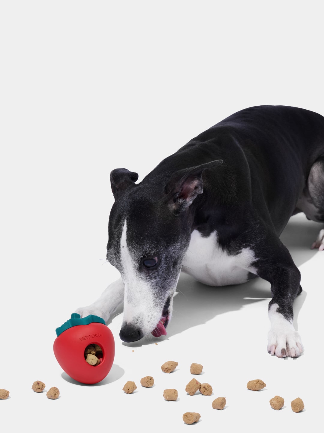 Strawberry Pet Treat Dispensing Toy